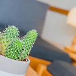 Apartmán Atemberaubende Aussicht, Direkter Pistenzugang Deutschberg