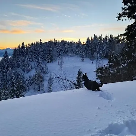 Atemberaubende Aussicht, Direkter Pistenzugang