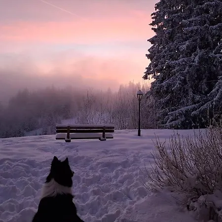 Atemberaubende Aussicht, Direkter Pistenzugang Daire