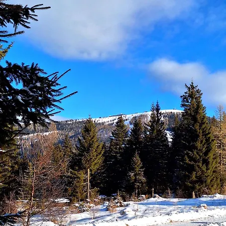 Atemberaubende Aussicht, Direkter Pistenzugang *
