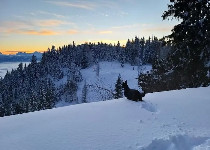 Atemberaubende Aussicht, Direkter Pistenzugang