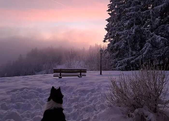 Atemberaubende Aussicht, Direkter Pistenzugang Apartment